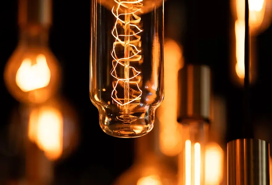 decor - wire light bulbs vintage